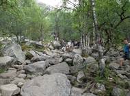 Rybolov a turistika Norsko Gursken 2013